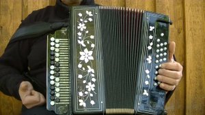 Видеоразбор Маленький человек(little man),ноты,цифры на гармони.