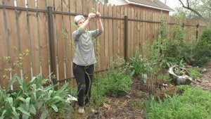 Пика-Опора для деревьев. Обзор и установка в саду (новинка)