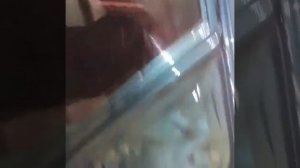 Покраска 2109,,,,цвет цунами...