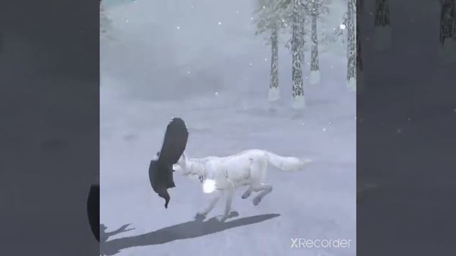 история Волков:чёрный и белый. смотреть онлайн