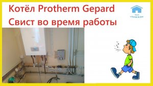 Газовый котел Протерм Гепард свистит во время работы. Protherm Gepard.