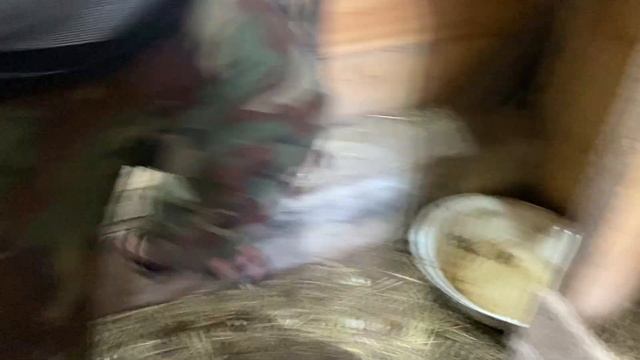 САМОЕ ВЫГОДНОЕ И ПРОСТОЕ В СОДЕРЖАНИИ ДОМАШНЕЕ ЖИВОТНОЕ