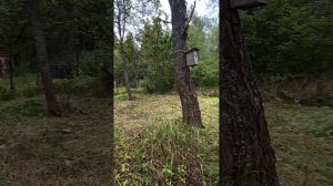 Продажа дача. Наро-Фоминский район.