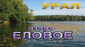 Путеводитель ОС 49. Фильм второй. озеро Еловое. Тихое место