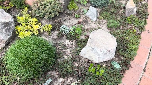 ЛАНДШАФТНЫЙ ДИЗАЙН: ТЯПКА “HANAKUMAGAWA” (ТЕСТ), КАМЕНИСТЫЙ САДИК, УХОД, ОБЗОР ХВОЙНЫХ РАСТЕНИЙ! смотреть онлайн