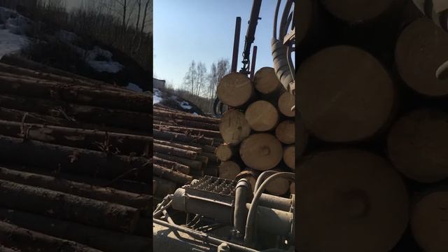 PARMA WOOD разгрузка пиловочника