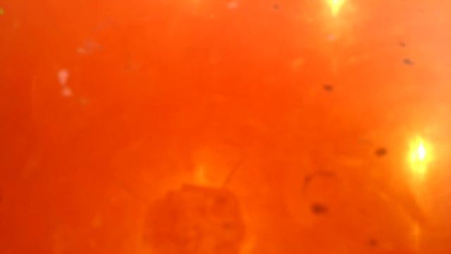 Материал для лепки смотреть онлайн