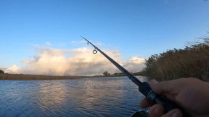 Zipbaits Calibra 75. Щука на раттлины в октябре