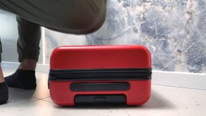 NinetyGo Business Travel Luggage 20 – универсальный чемодан