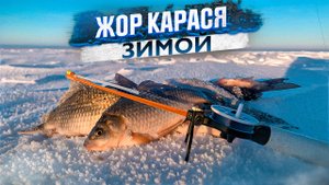 Ловля карася зимой попали на дикий клев. Зимняя рыбалка на карася