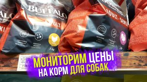 Сколько сейчас стоит корм для собак в розничном зоомагазине. Мониторинг цен