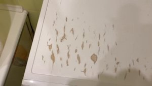 БЫСТРО И ДЕШЕВО обновляем ? ВАННУЮ КОМНАТУ своими руками  ? - Бюджетная Переделка квартиры за 5 дне