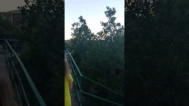 Небольшой обзор на пансионат Гольфстрим-лучшее место для отдыха всей семьей!!!!!!!!! смотреть онлайн