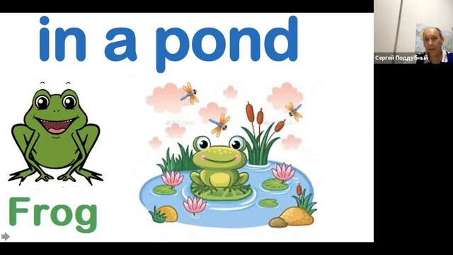 Английский для начальной школы, Название животных на английском, Science Animals, t  Sergei