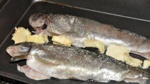 Форель в духовке
