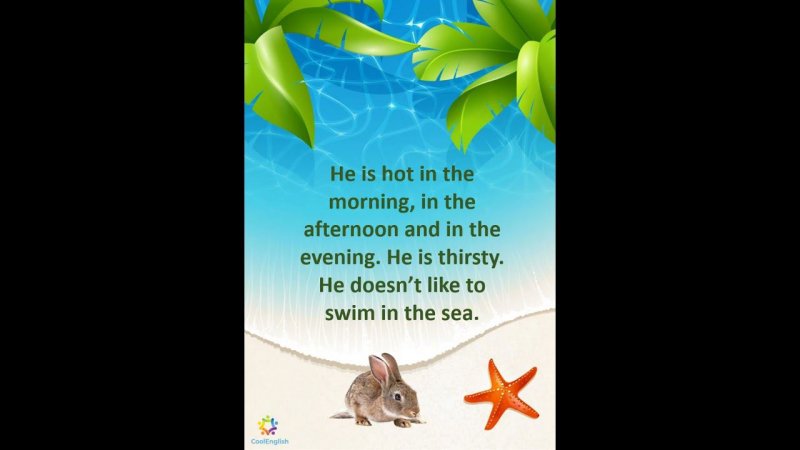 FLIPPY THE RABBIT
