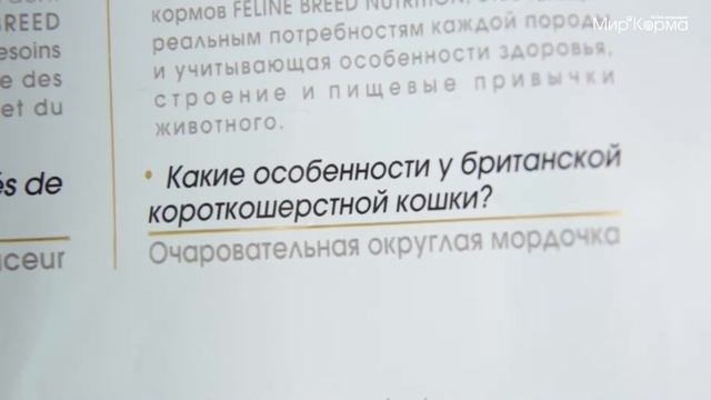 Обзор корма Royal Canin для британских короткошерстных кошек