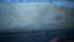 Предбанник тоже гниёт, оказывается