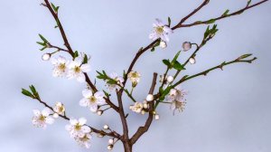 Они не знали, что это будет их последняя вылазка в лес! | Трогательная история из жизни