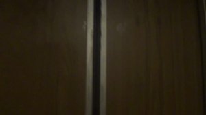 Электрический лифт V=0,71 м-с, грузоподьемность 320 кг (942)