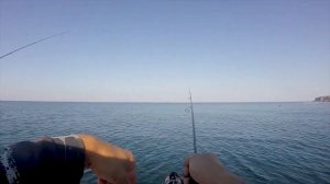 Работа бланка Zetrix Flair FLS-702SUL-S