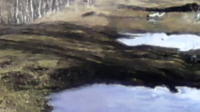 Джиппингэкстрим драйв бездорожье путешествия