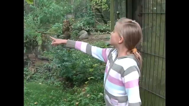 Полчаса без родителей. №48. Хельсинки. смотреть онлайн