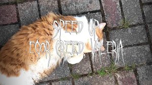 Егор Крид, Валерия - Часики speed up || ★Speed up songs★