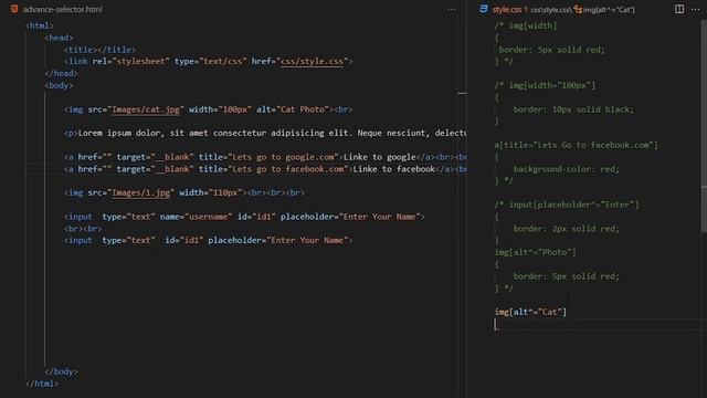 61#Attribute Selectors | CSS Attribute Selectors