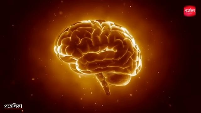 30 সেকেন্ডে ব্রেনকে Reset করতে শিখুন | Reboot Your Brain in 30 Seconds | Increase Your Mind Power смотреть онлайн