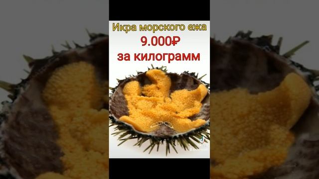 икра самая дорогая #топ #вкусно #еда #рейтинг #топ #топ10 #икра