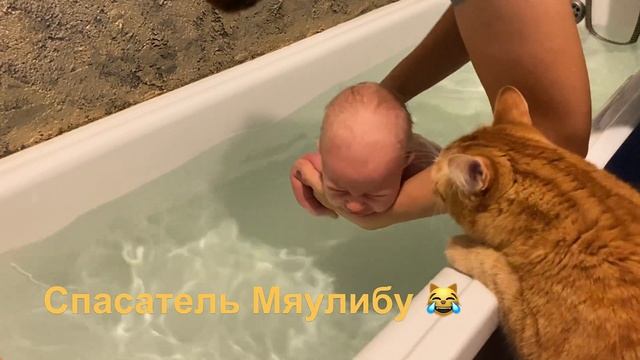 МАЛЫШУ 1,5 МЕСЯЦА | ГРУДНИЧКОВОЕ ПЛАВАНИЕ | КАКИЕ ПОДГУЗНИКИ ЛУЧШЕ | КОТ СПАСАЕТ МАЛЫША смотреть онлайн