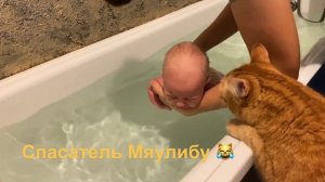 МАЛЫШУ 1,5 МЕСЯЦА | ГРУДНИЧКОВОЕ ПЛАВАНИЕ | КАКИЕ ПОДГУЗНИКИ ЛУЧШЕ | КОТ СПАСАЕТ МАЛЫША