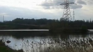 Оз.Сошно Озерный Духовщинский район Смоленская обл