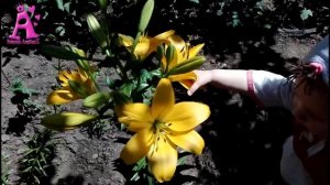 Принцесса Анастасия любит красивые цветы. Princess loves beautiful flowers!