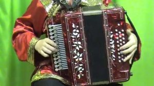 Мелодия из кф Джентельмены удачи  Гармонист Алексеев Егор  5 11 10
