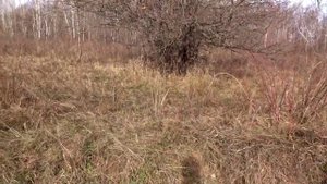 ? В ПОИСКАХ ДОЛЬМЕНОВ. Поход на Богатырские поляны