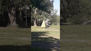 Моно ВЕО. 29.05.21 г.Челябинск. ПРК Лобовая. Стивит Армаст Чародей