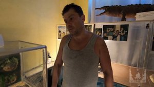 Укусы кобры и гюрзы. Рассказ герпетолога