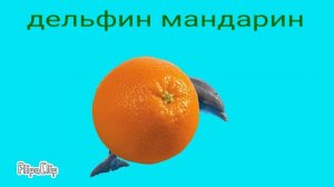 дельфин мандарин