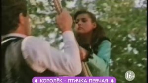 Королек — птичка певчая
