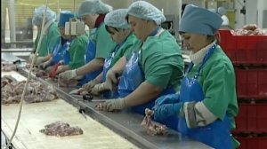 В Сухобузимском районе возрождается крупная птицефабрика