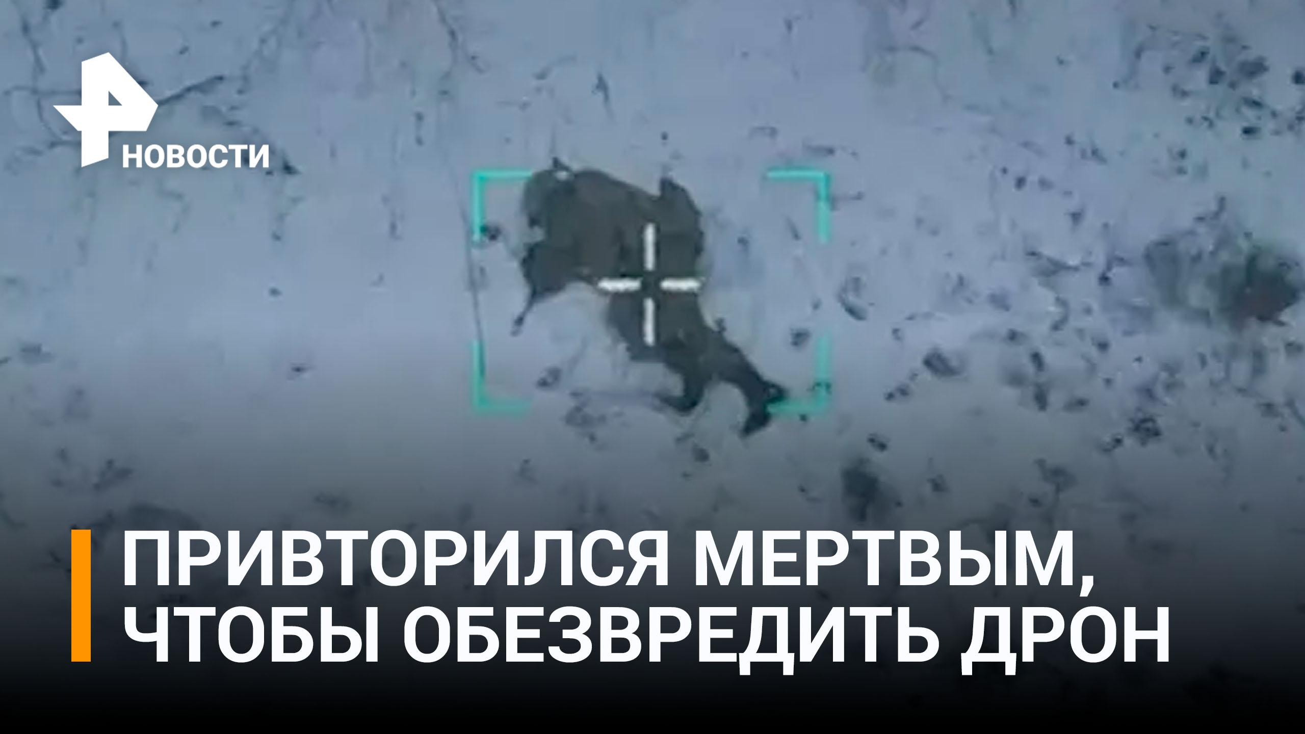 Украинский дрон с гранатой заснял, как российский военный обхитрил его оператора и обезвредил БПЛА