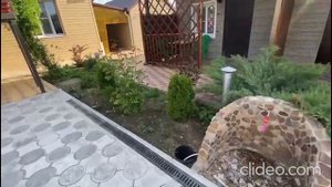 Краснодарский Край, посёлок Веселовка (двор)