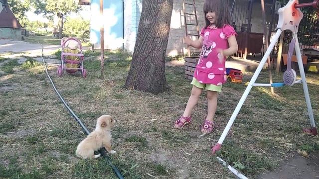 Как мы проводим вечер в семье,отдых летом в селе. смотреть онлайн