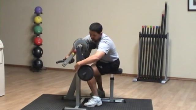 Using the Body-Solid GCBT380 смотреть онлайн