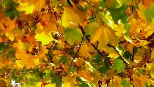 "Осень" песня христианская..Шинкарева Светлана.."Сколько раз ты мне напоминала.." смотреть онлайн