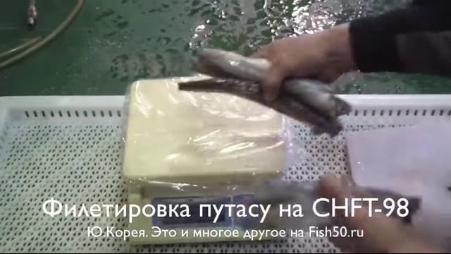 CHFT 98 филетирование путассу