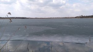 Буньковский карьер здесь уже распустилась мать и мачиха