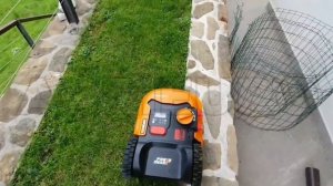 Robot rasaerba Landroid M WR142E: come funziona il robottino tagliaerba con connessione Wifi